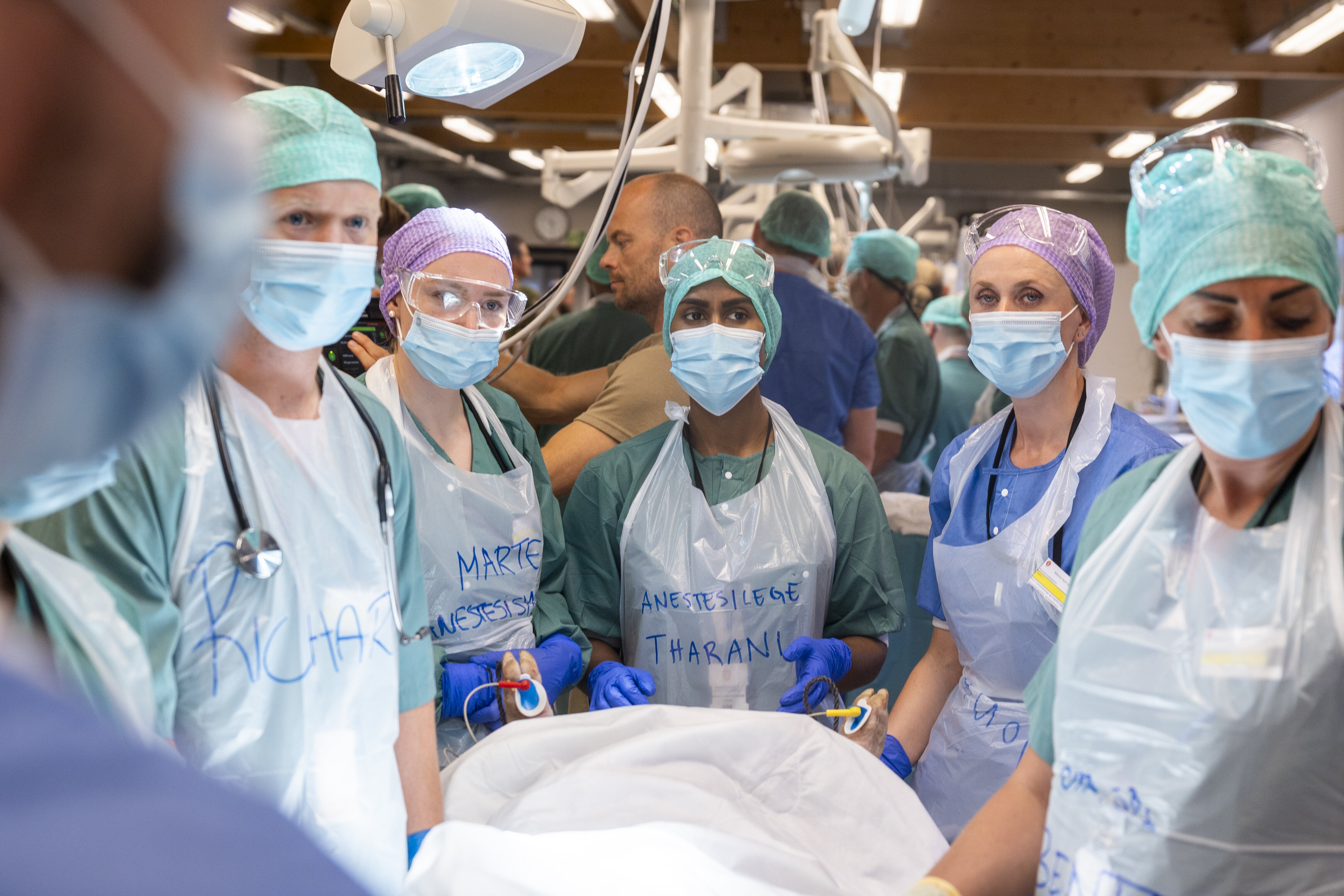 Operasjon, kirurgi, Live Tissue Training Bildet viser teamet som tar imot grisen.