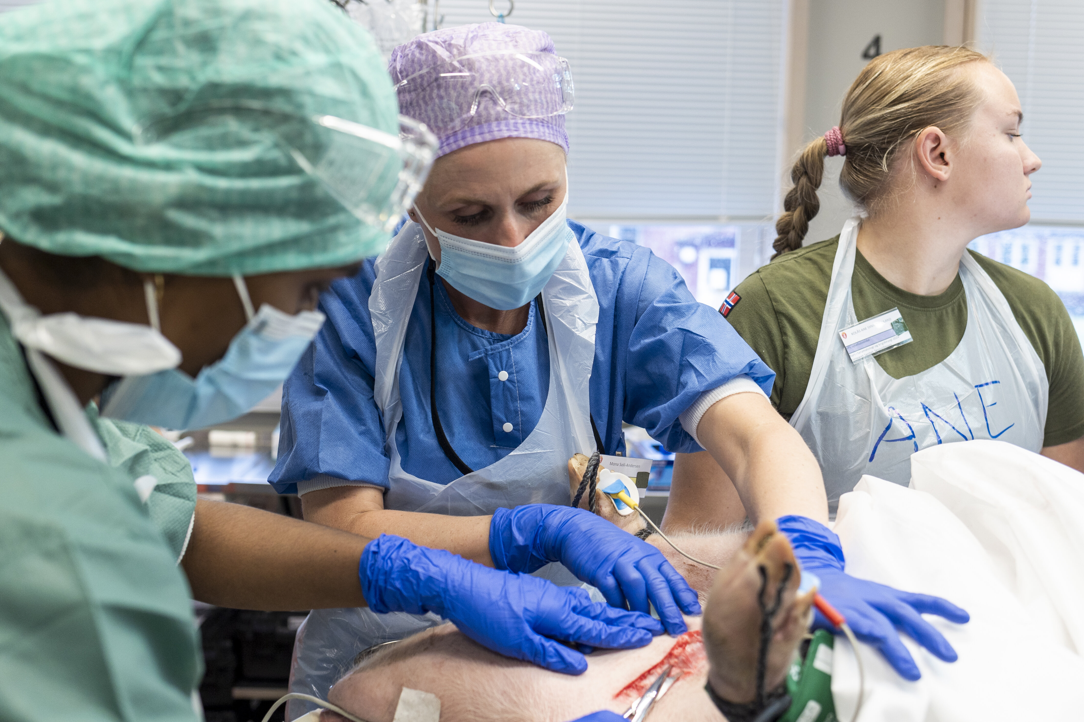 Mona Karine Soli-Andersen Bildet viser Mona Karine Soli-Andersen som trener på å blottlegge vene på halsen til en gris.