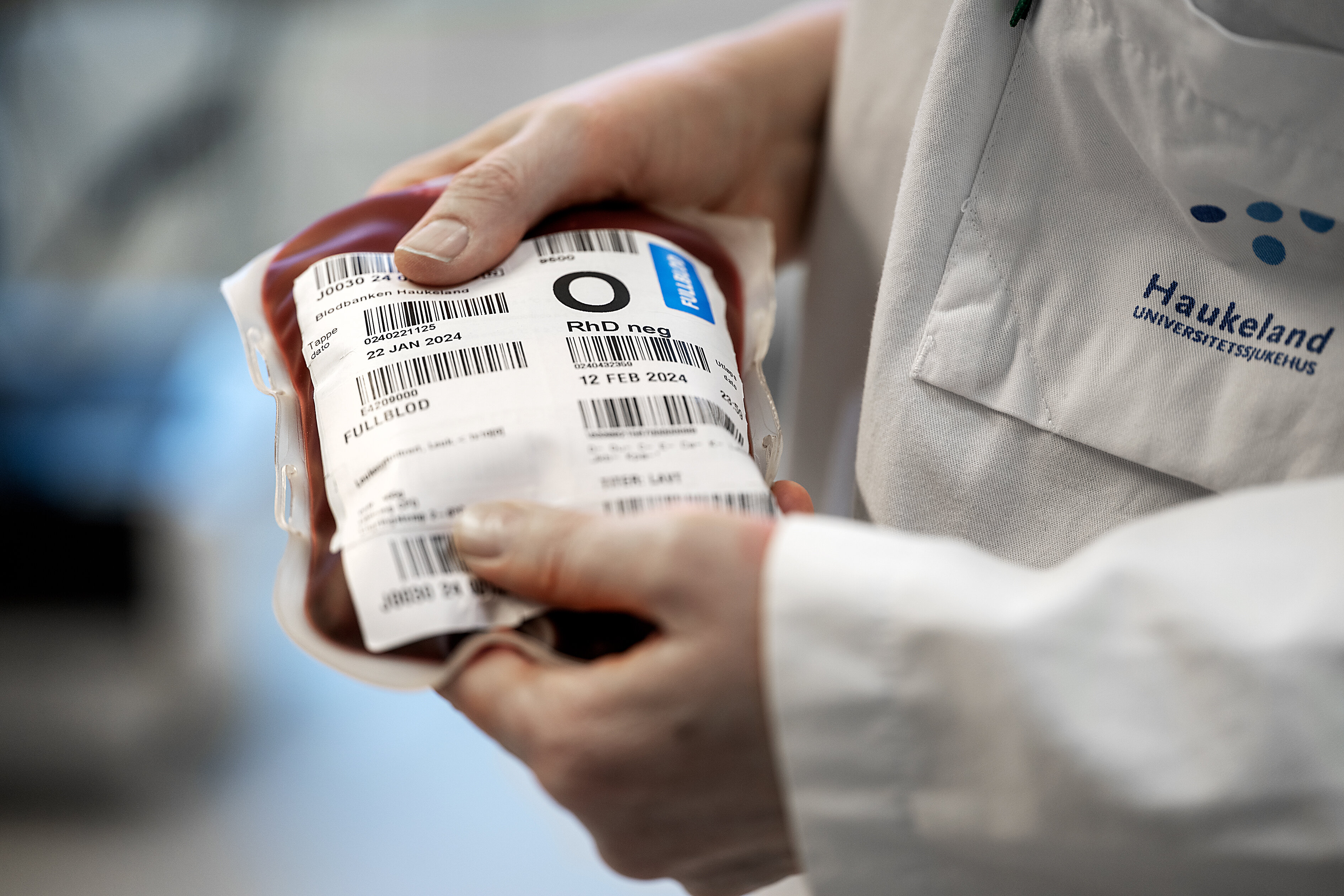 Blodpose Bildet viser hender som holder en blodpose.