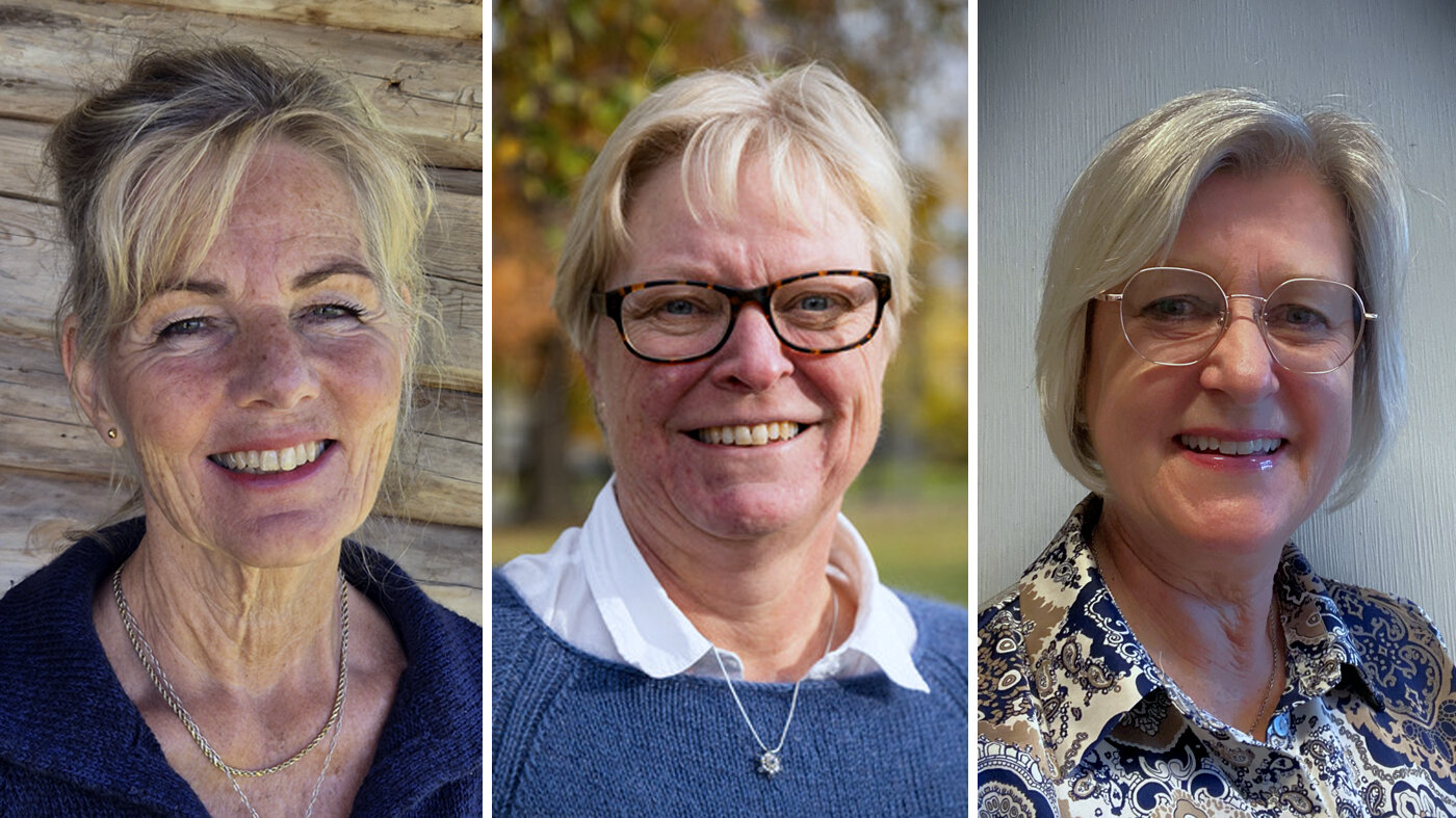 Bildet viser portretter av tre av de fire innleggsforfatterne