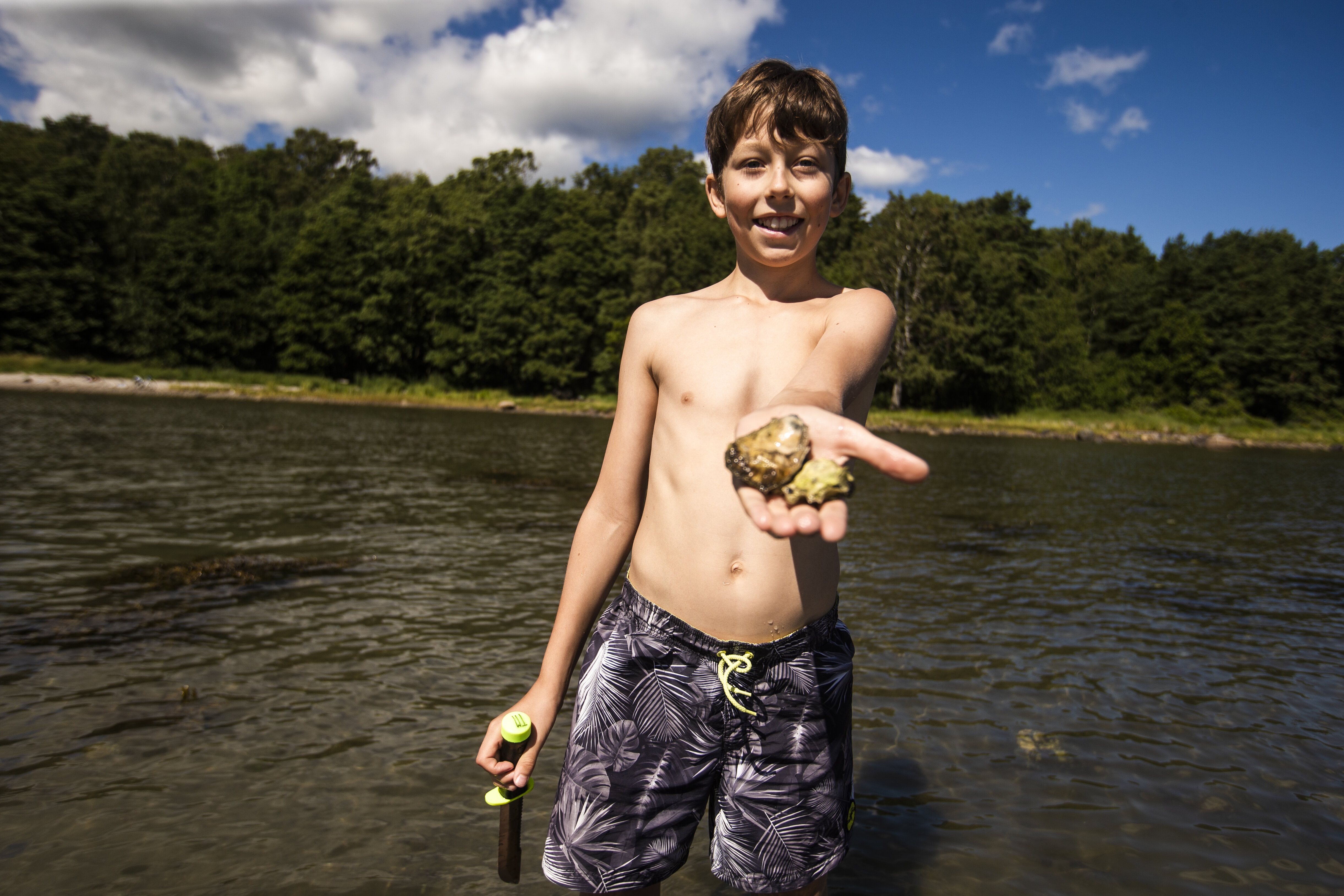 Stillhavsøsters Stillehavsøsters