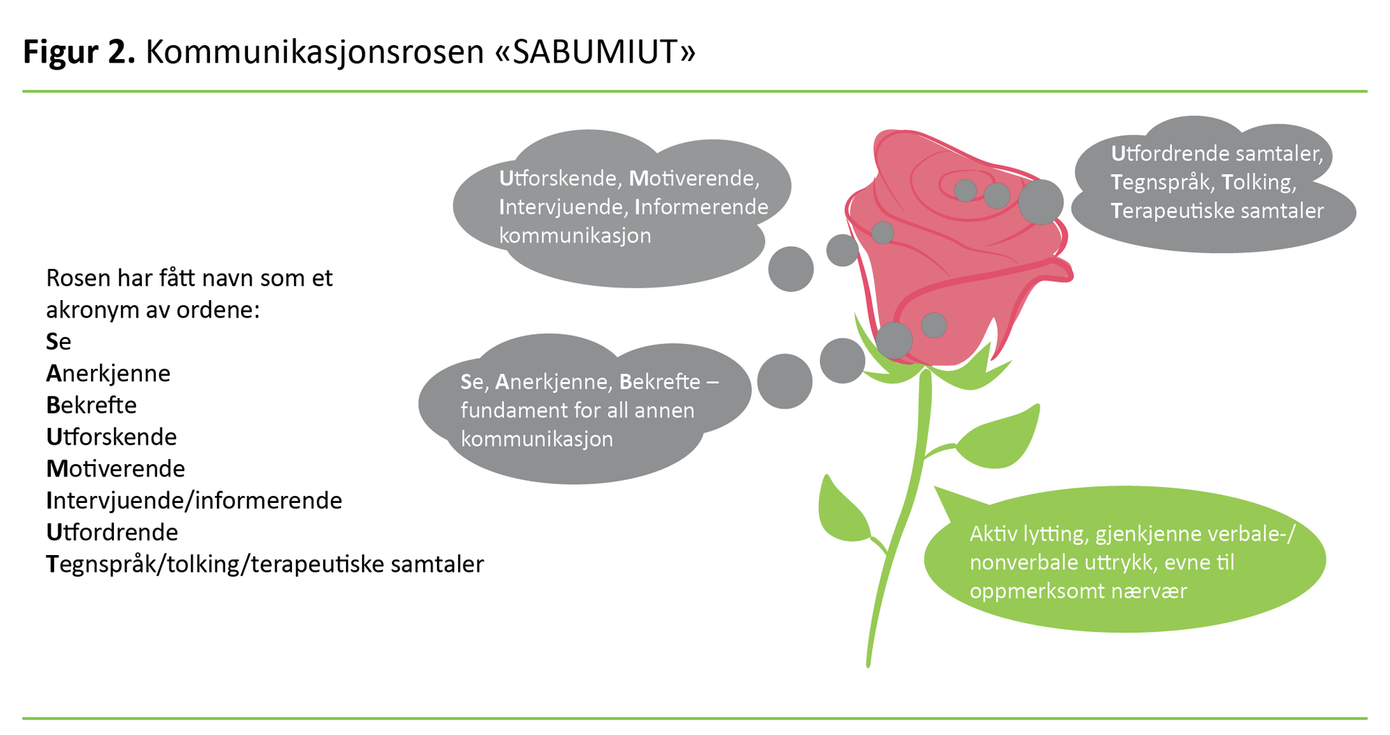 Figur 2 Figur 2. Kommunikasjonsrosen "SABUMIUT