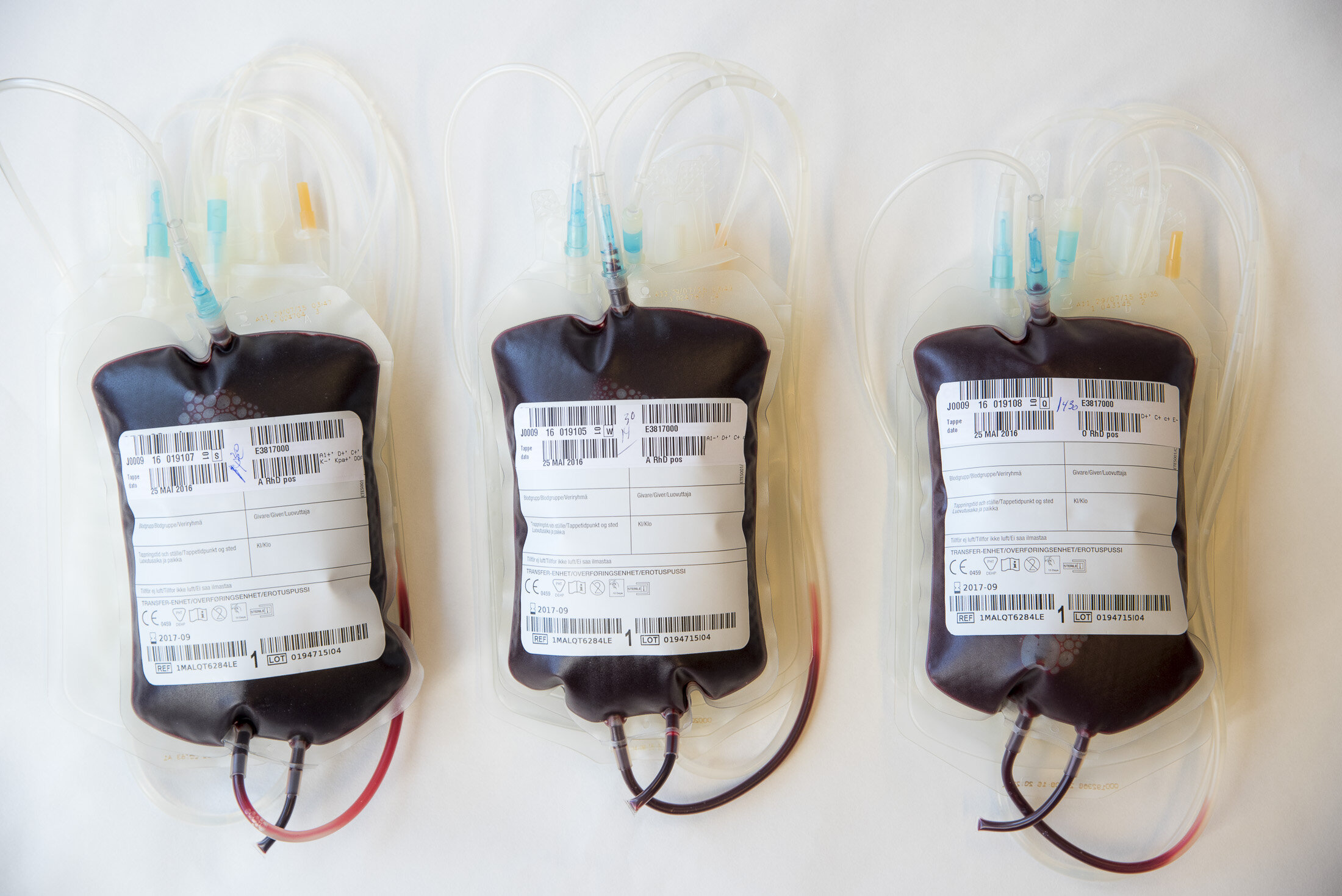 blodposer, transfusjon Bildet viser tre blodposer.