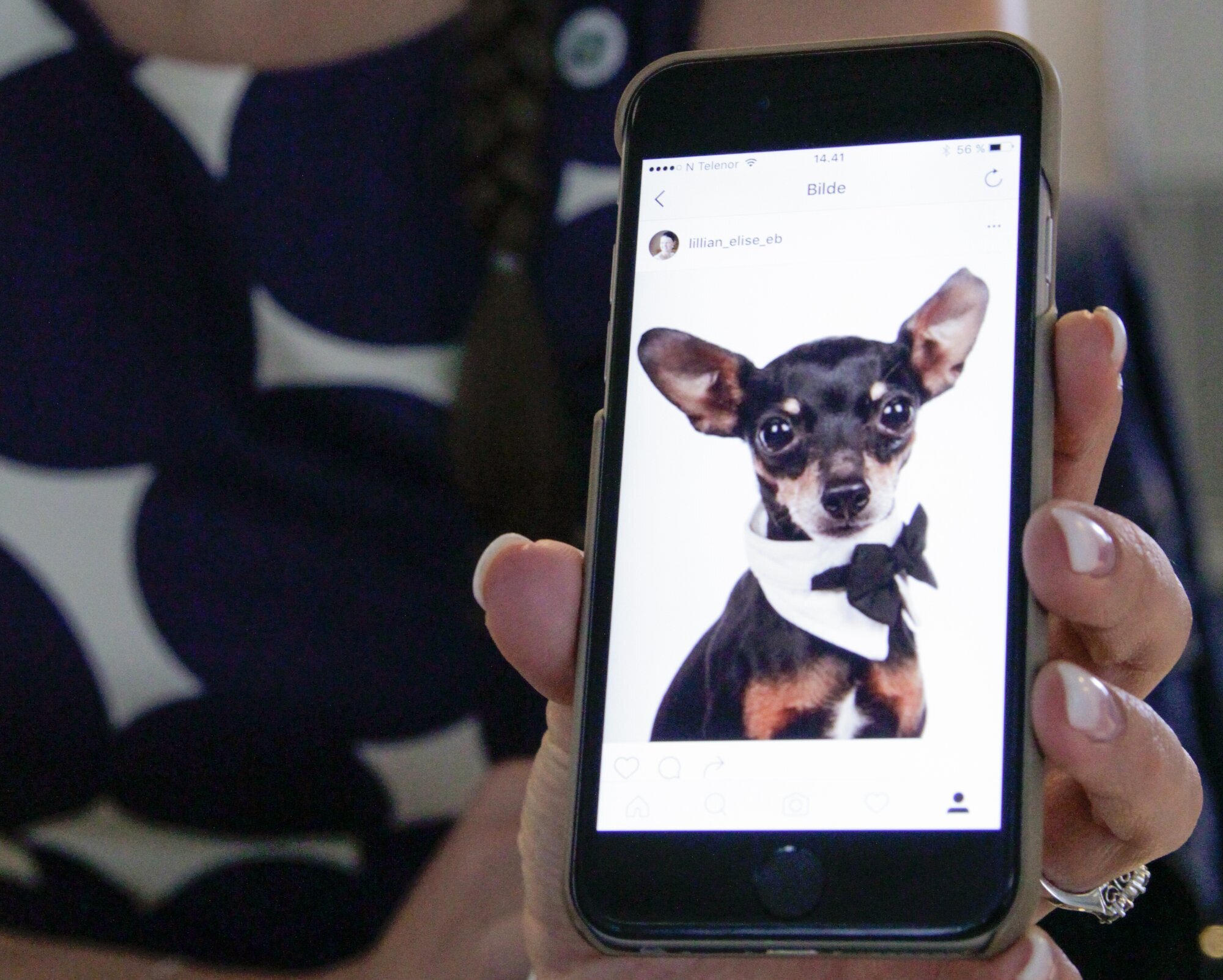 Lillian Elise Esborg Bergane, Leopold Bildet viser en mobil med bilde av Leopold.