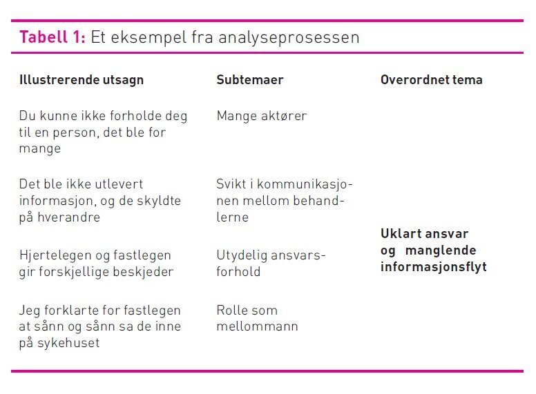 Tabell 1 viser et eksempel fra analyseprosessen Tabell 1, eksempel, analyseprosessen