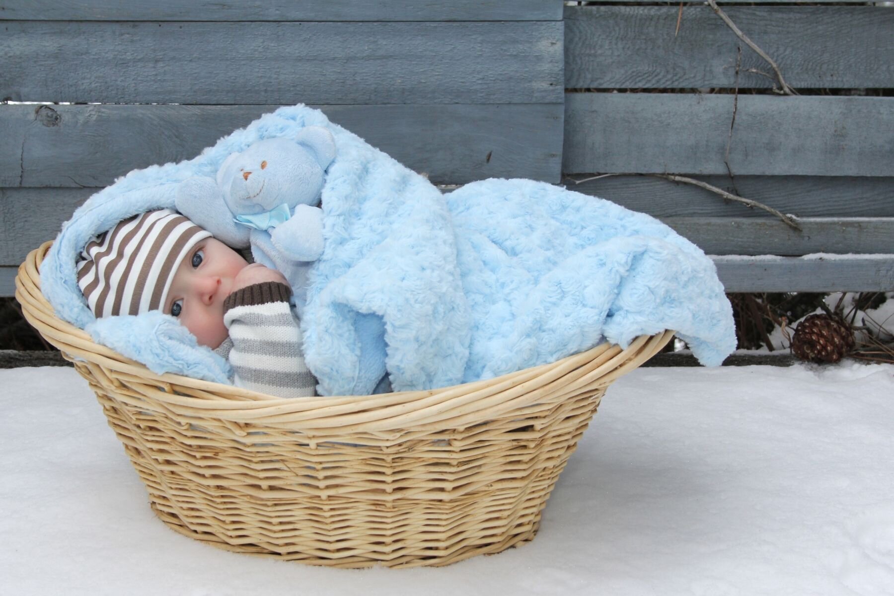 Bilde av en liten baby som ligger i en kurv med blått teppe. Bilde av en liten baby som ligger i en kurv med blått teppe.