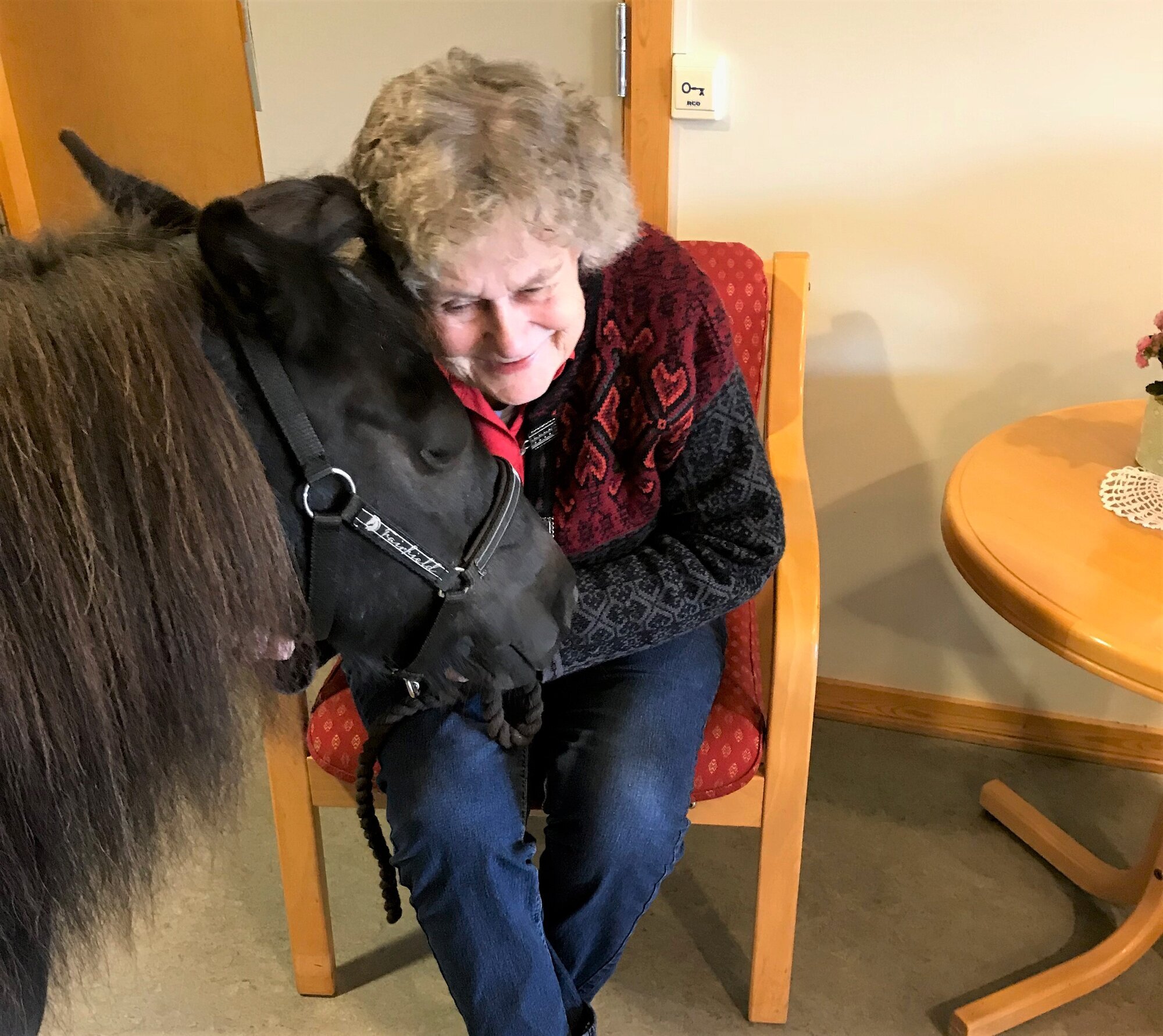 Bildet viser beboer som hilser på en ponny