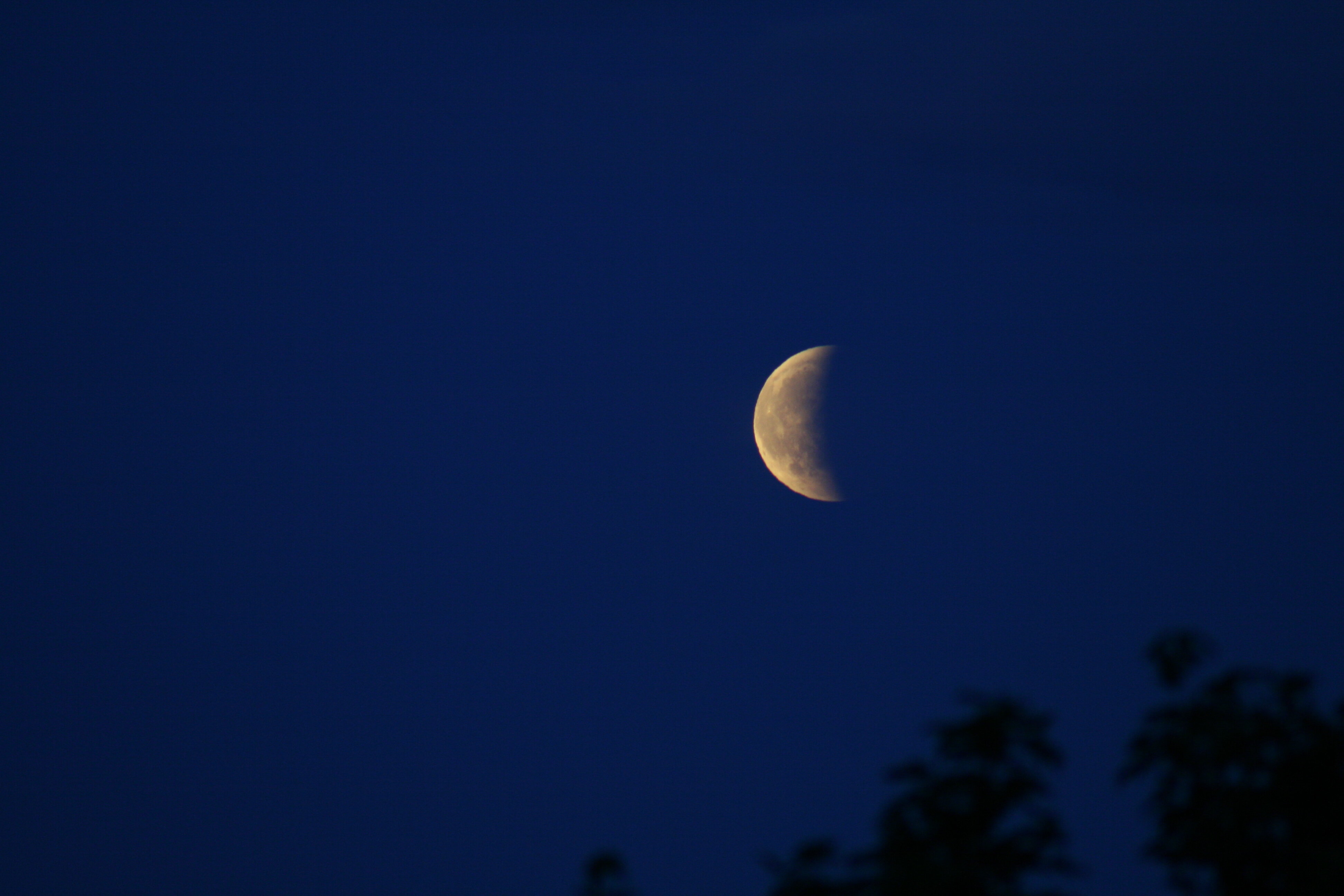 Halvmåne Halvmåne i svart natt