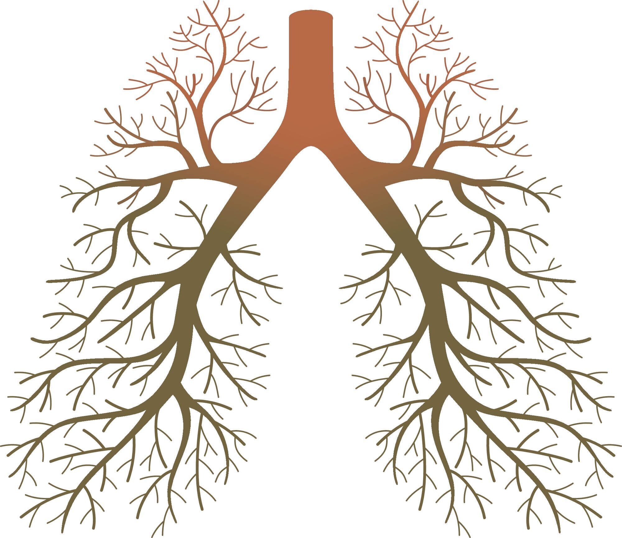 Lunger, lungesykdom Illustrasjon av lunger i form av et tre med greiner