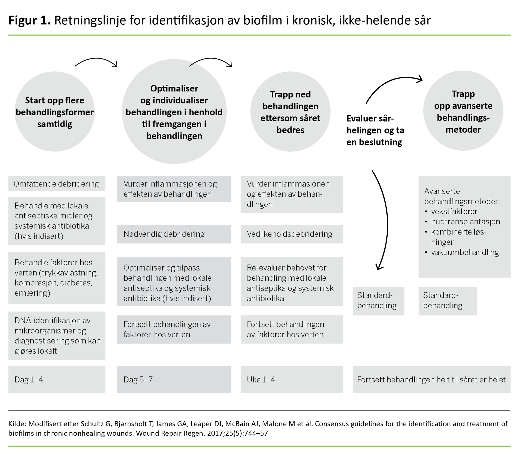 Figur 1 Figur 1. Retningslinje for identifikasjon av biofilm i kronisk, ikke-helende sår