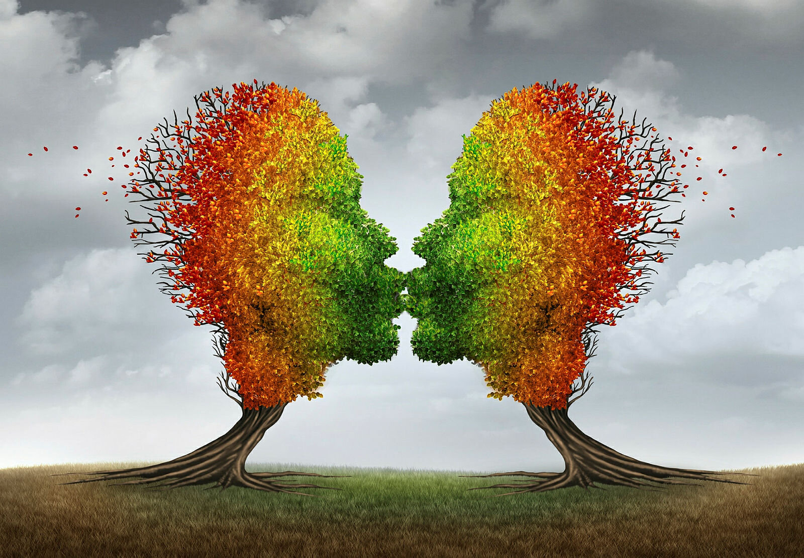 Trekyss Bildet er en illustrasjon av to høstlige trær som kysser.