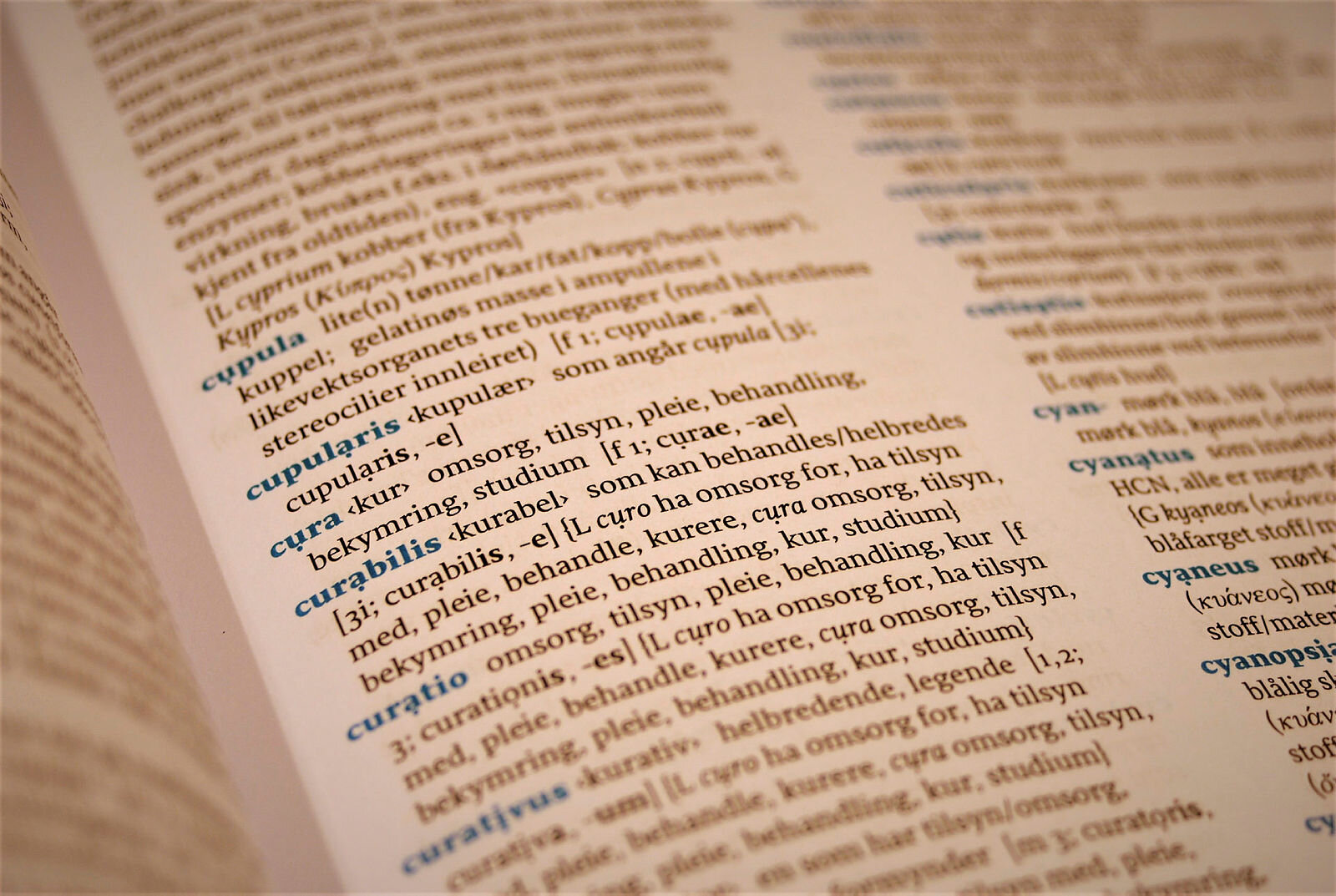 ordbok Utsnitt fra oppslag i "Medisinsk-biologisk ordbok" av Steinar Risnes, Cappelen Damm 2018.