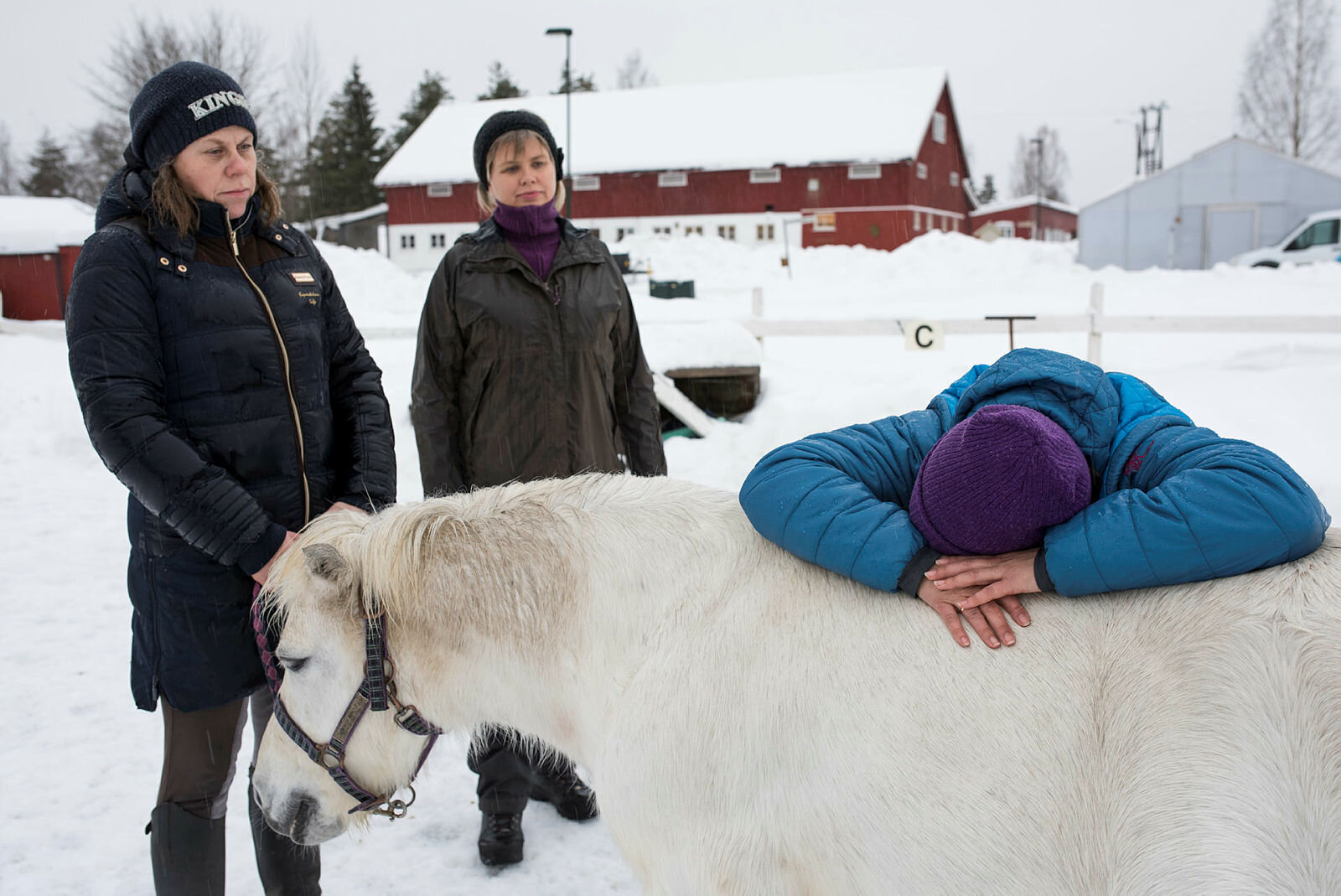 Modum bad Hestesentrert psykoterapi på Modum bad med (f.v.) miljøterapeutene Gry Beitnes Kreken, Åse-Lill Ranvik Iversen og Kari Hauge Vik. Hesten heter Pernille.