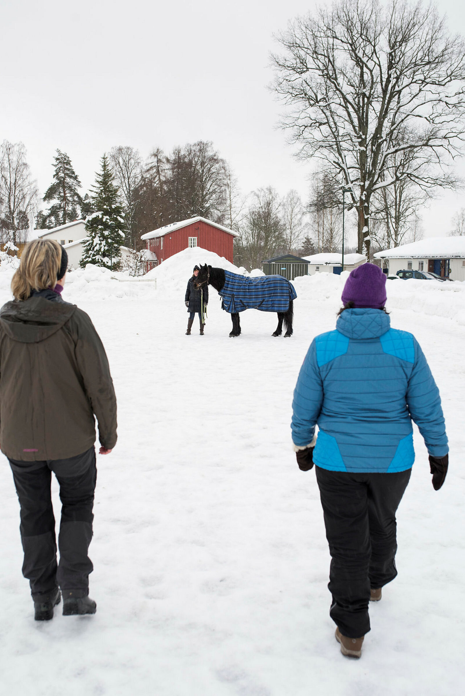 Modum bad Hestesentrert psykoterapi på Modum bad