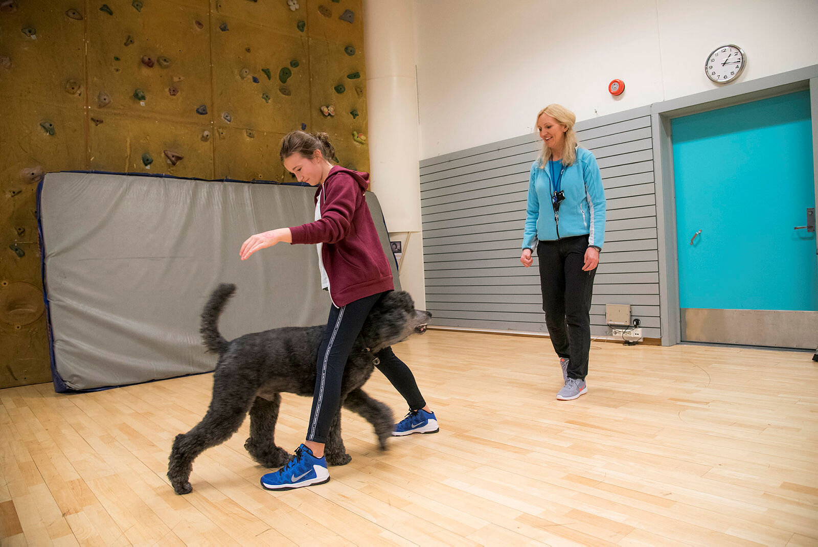 DAT Terapihunden Mattis, Keira (11) og sykepleier/dyreassistert terapeut Bitte Schou på CatoSenteret.