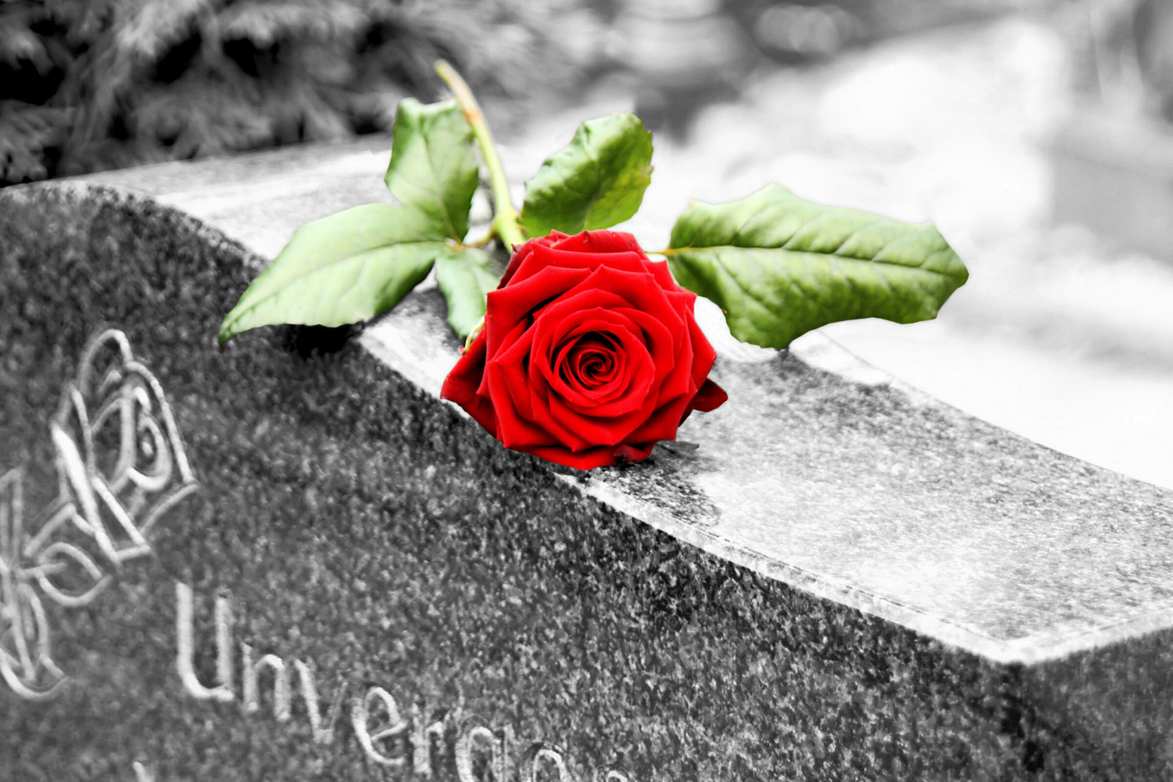 grav Rose på gravstein