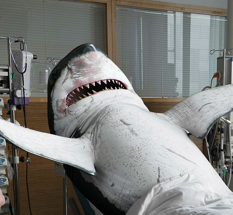 HAI på sykehus Hai som ligger i sykehusseng