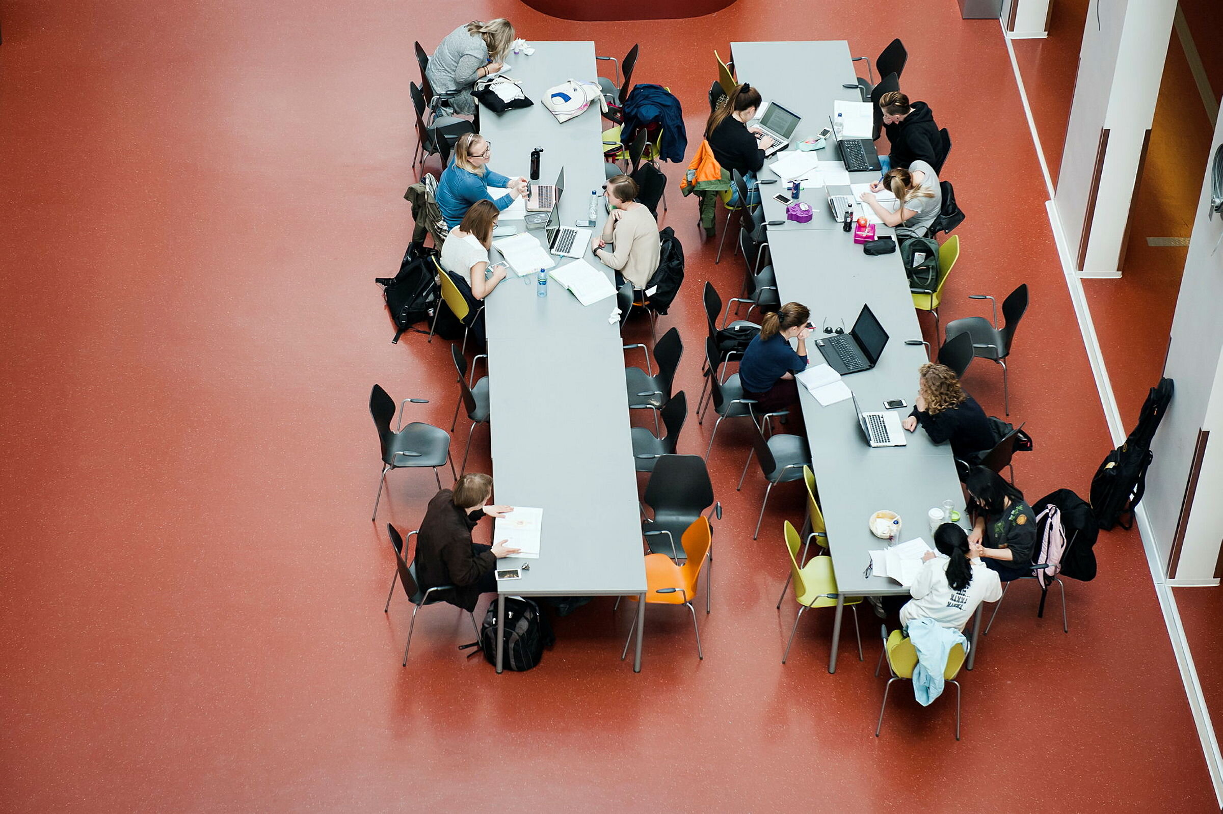 Bildene viser studenter fra Høgskolen i Oslo