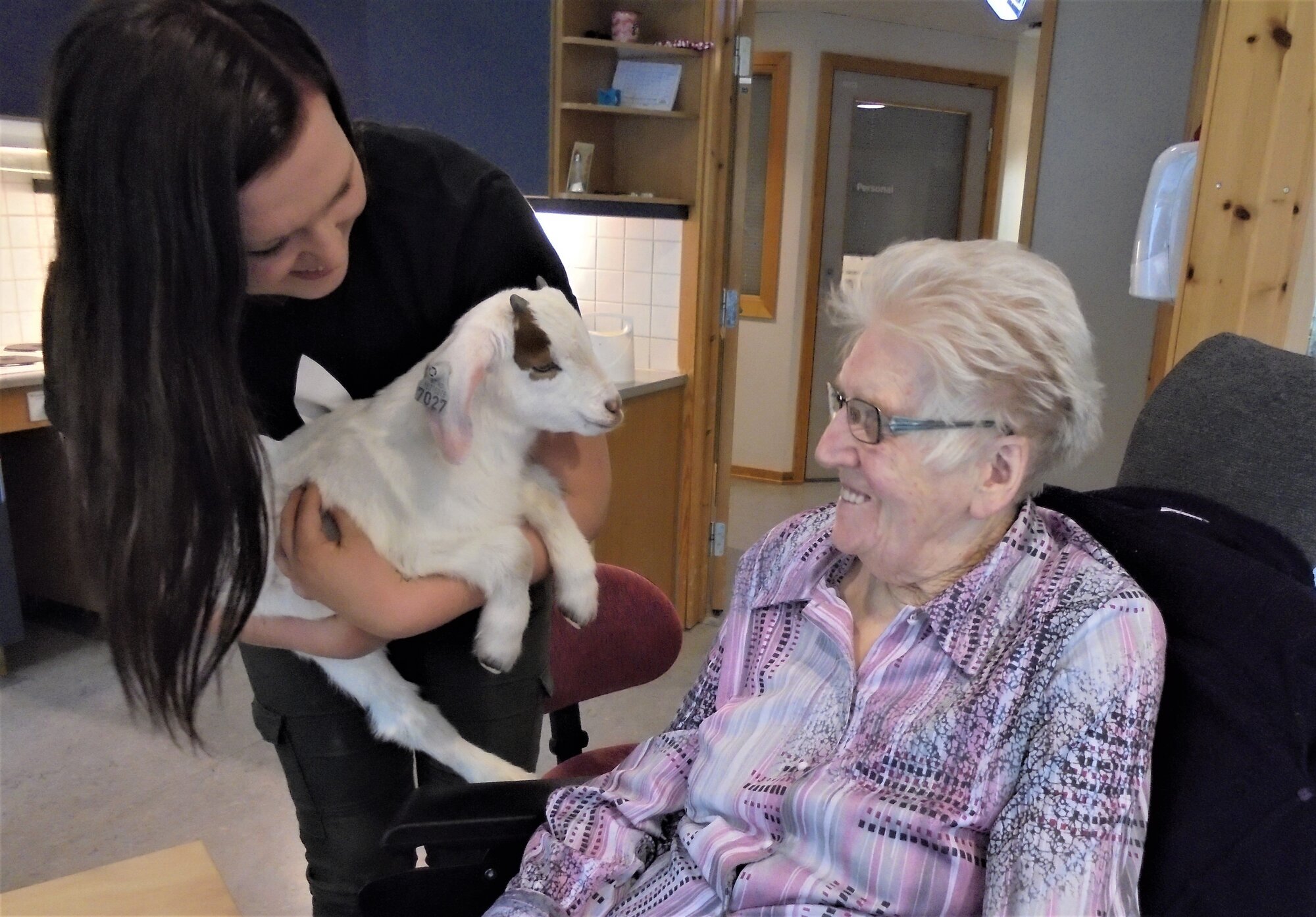 bildet viser geit på Åfjord sykehjem