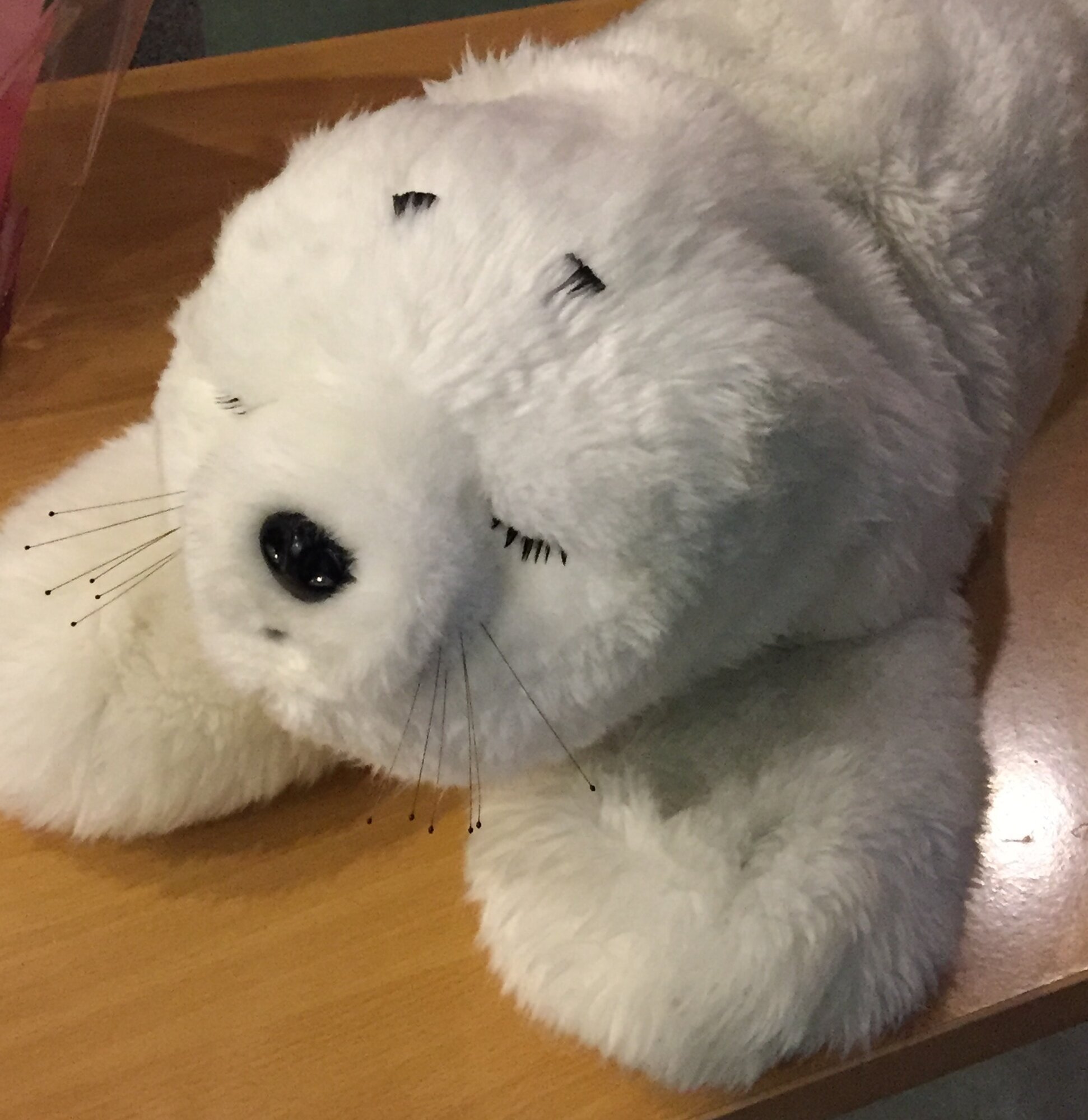 Robotselen Paro, emosjonell robot Bildet viser robotselen Paro.