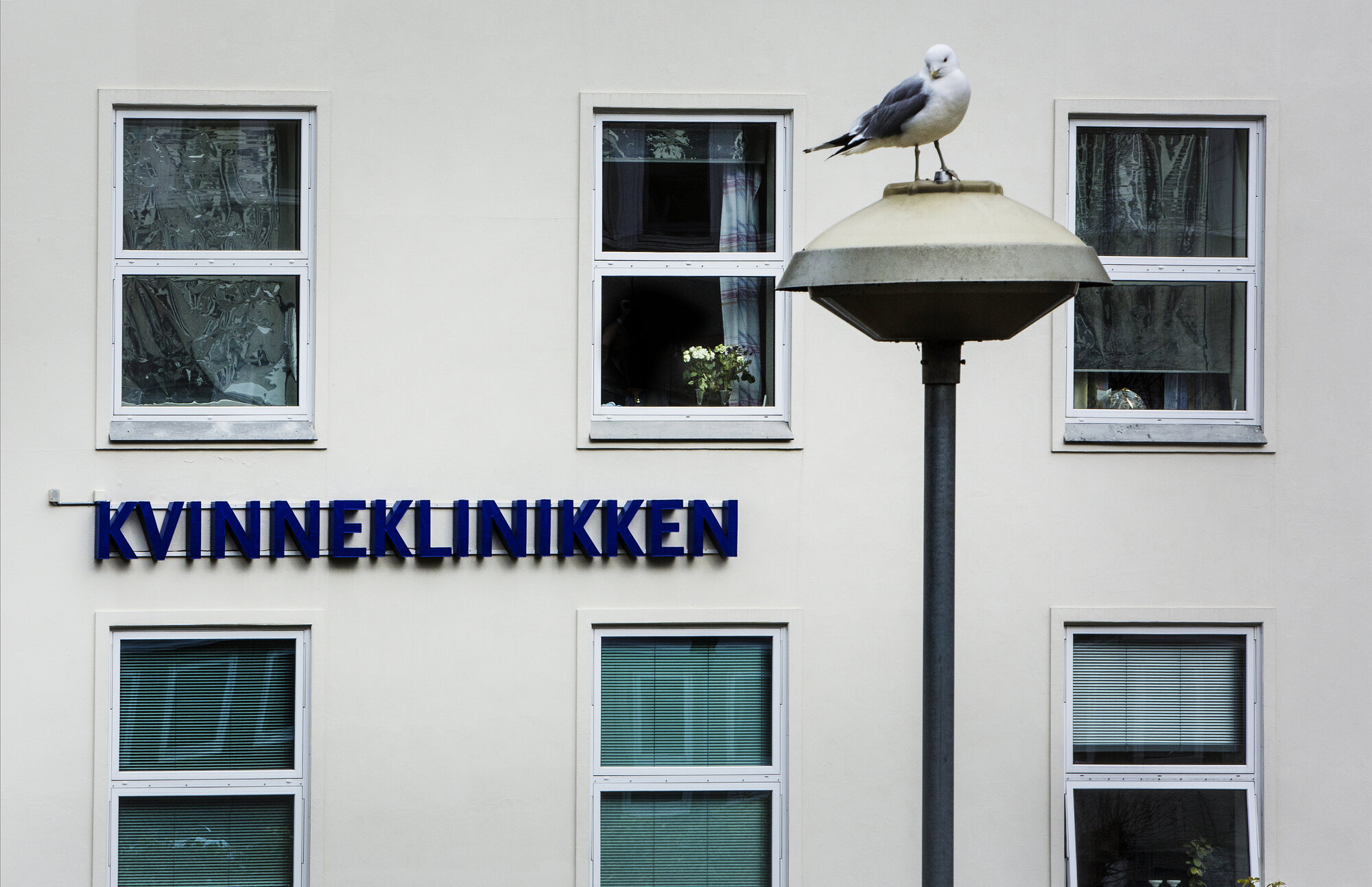 Et utsnitt av fasaden til Kvinneklinikken ved Haukeland sjukehus. Et utsnitt av fasaden til Kvinneklinikken ved Haukeland sjukehus.