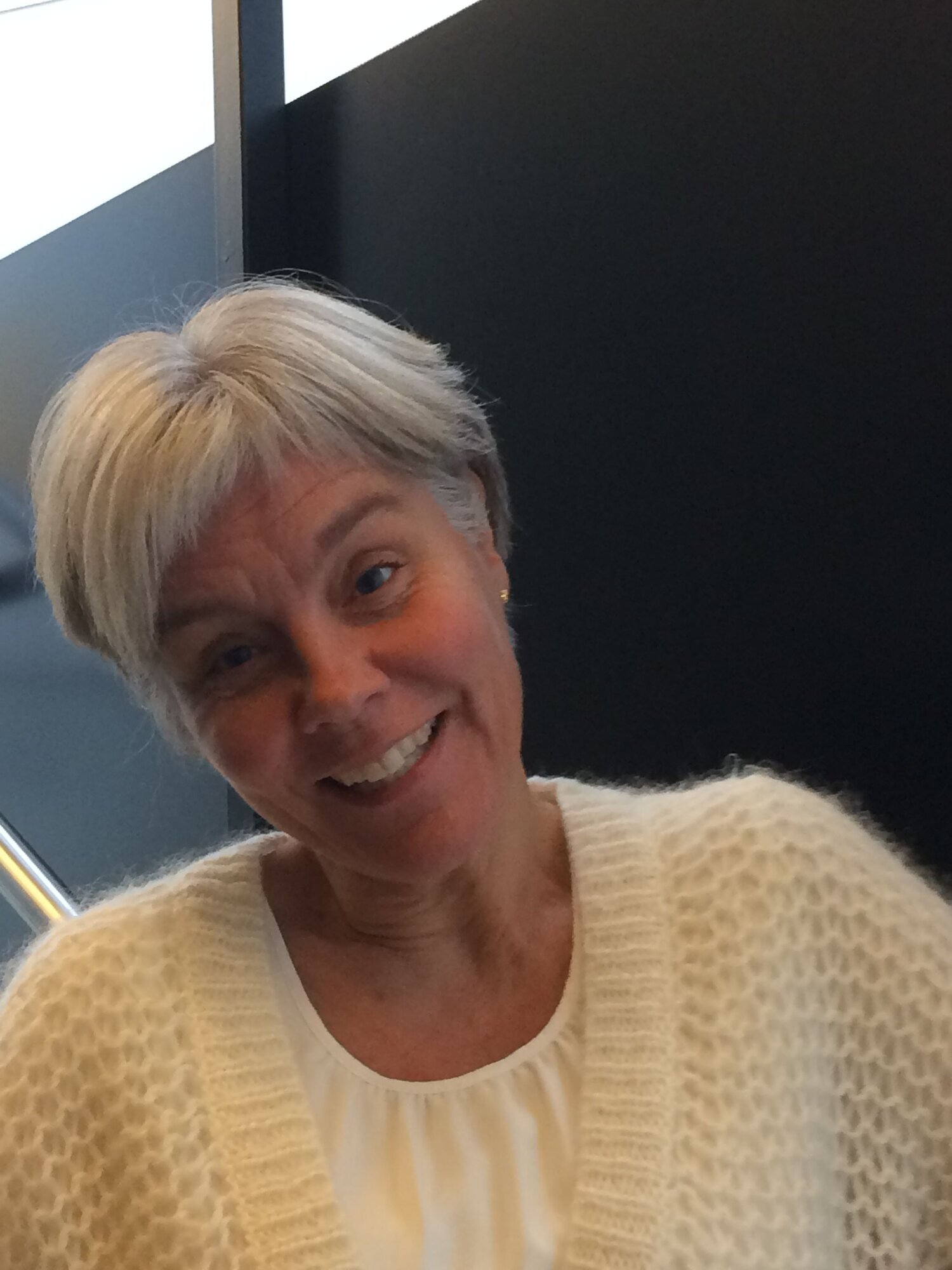 Siri Tønnessen, Høgskolen i Sørøst-Norge Bildet viser Siri Tønnessen.