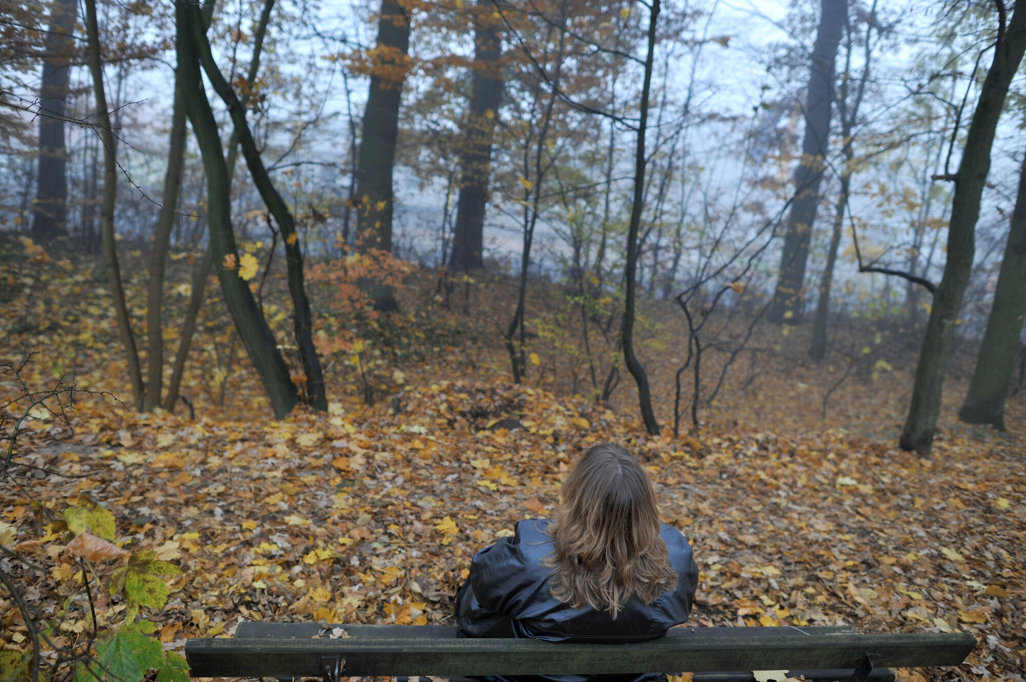 Kvinne sitter på benk i skogen. Illustrasjonsfoto: Frank May/NTB scanpix Kvinne sitter på benk i skogen. Illustrasjonsfoto: Frank May/NTB scanpix