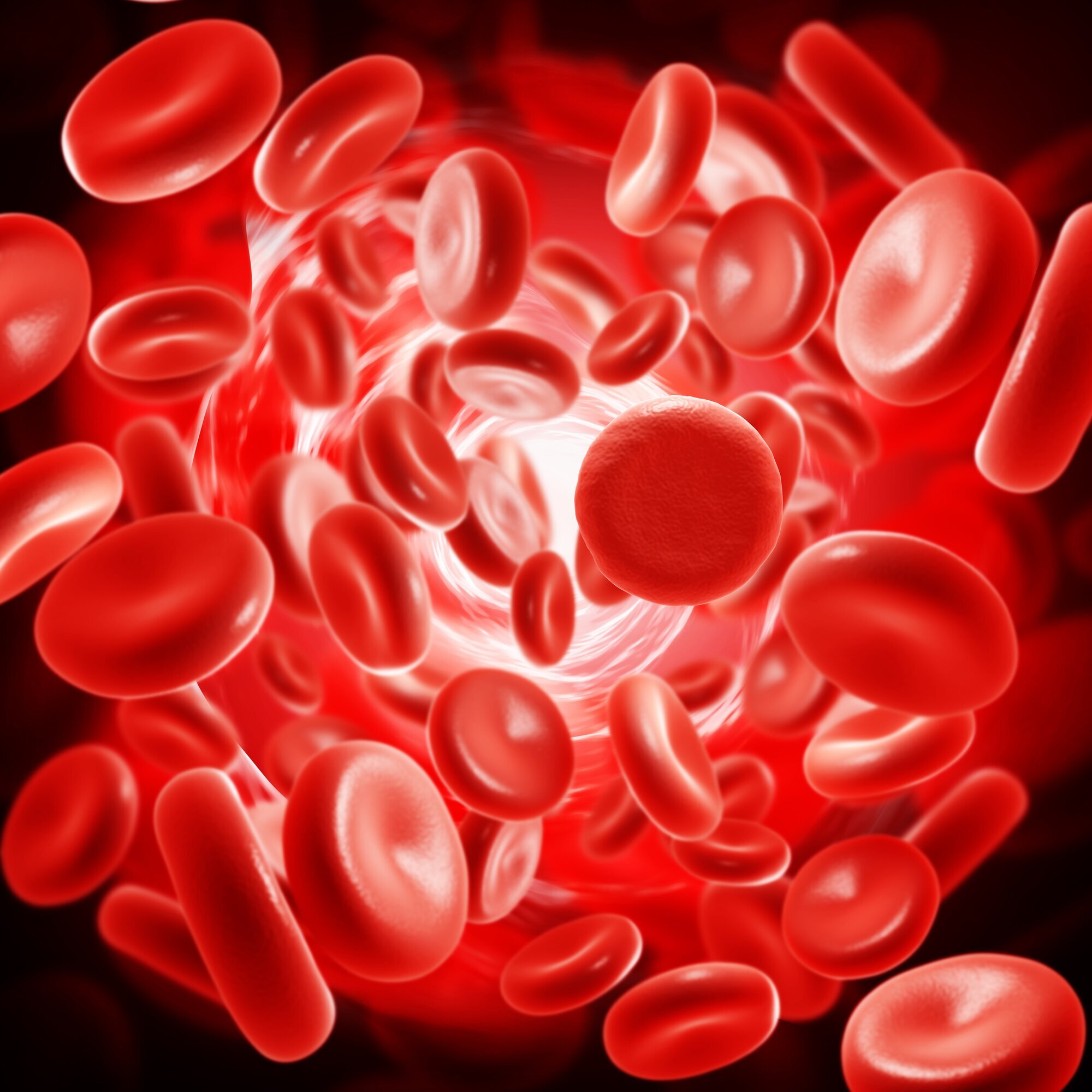 Erytrocytter Bildet viser erytrocytter