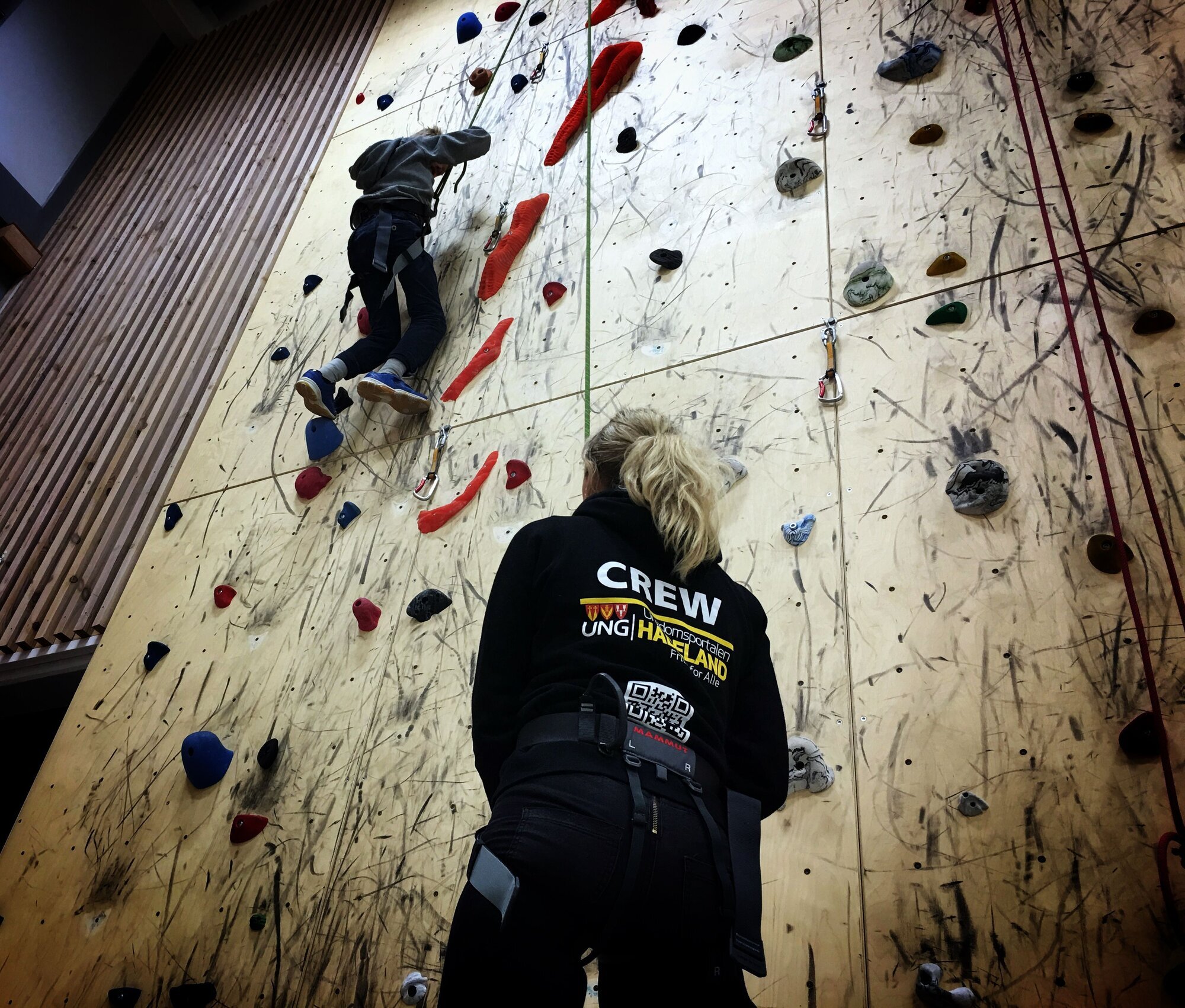 Klatring Bildet viser klatring i en innendørs klatrevegg