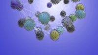 Illustrasjonen viser ulike varianter av koronaviruset.