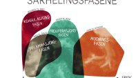 Sårhelingsfasene Illustrasjonen viser de fire sårhelingsfasene.