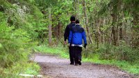 Skogstur Bildet viser to personer sett bakfra som går tur i skogen.