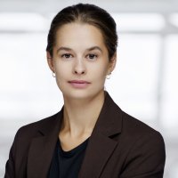 forfatteren bjartnes