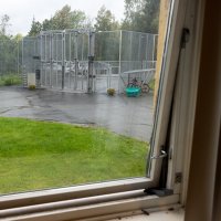 Bildet viser utsikten fra et av vinduene ved sikkerhetsavdelingen på Dikemark