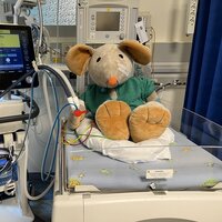 Bildet viser kosedyret Rasmus i en babyseng med respirator ved siden av