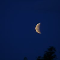 Halvmåne i svart natt